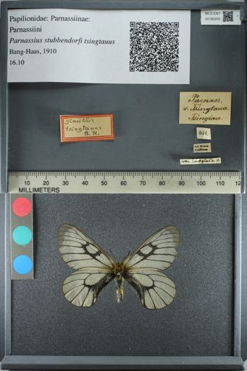 Media type: image;   Entomology 180203